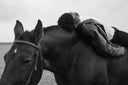 <h3>Cruelty-free fashion</h3>
